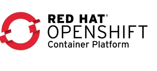 What are Services in context of OpenShift ?